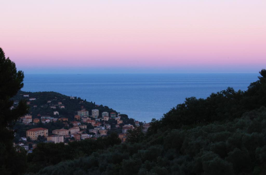 Tenuta Domine Imperia Quarto foto