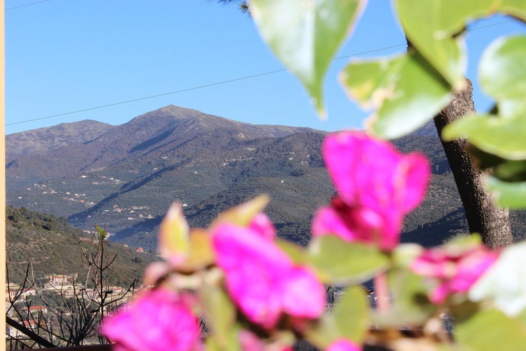Tenuta Domine Imperia Quarto foto